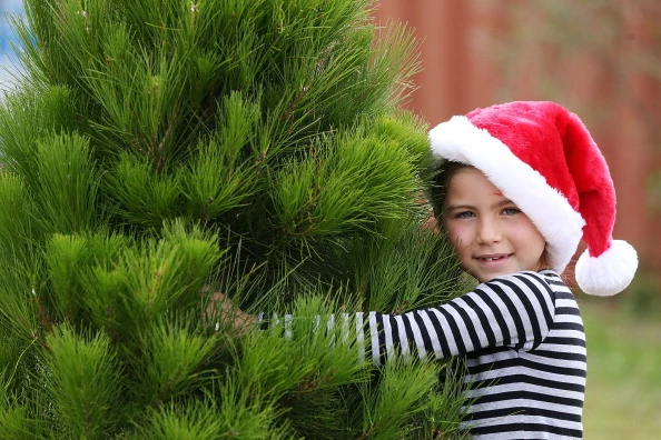 Girl with Christmas tree Girl with Christmas tree