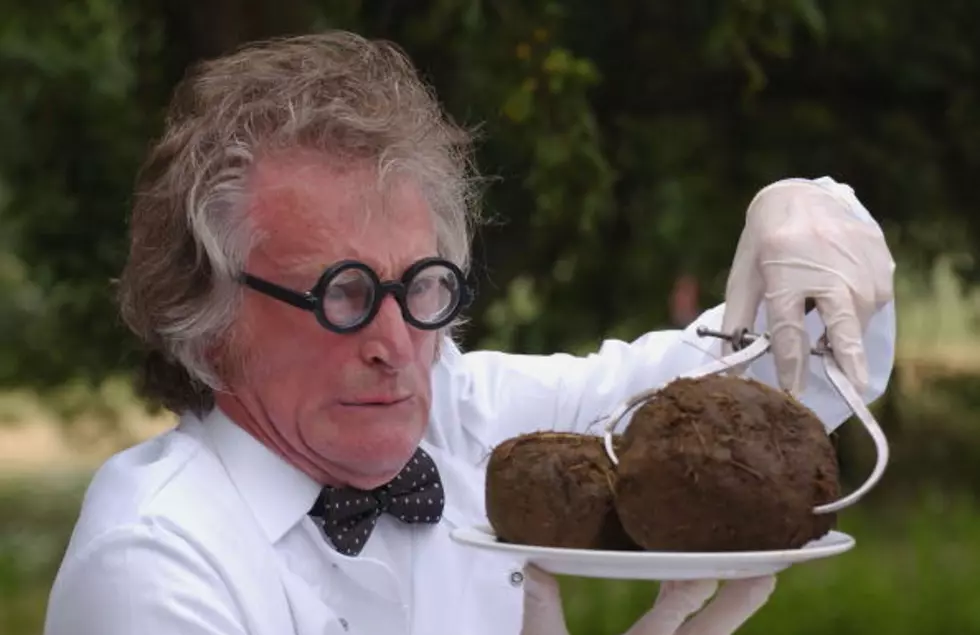 Man Needs Your Help Finding Out Who Pooped On His Car
