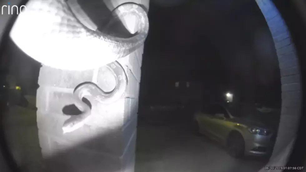 Check Out Video of Snake Ringing Doorbell at Texas Home