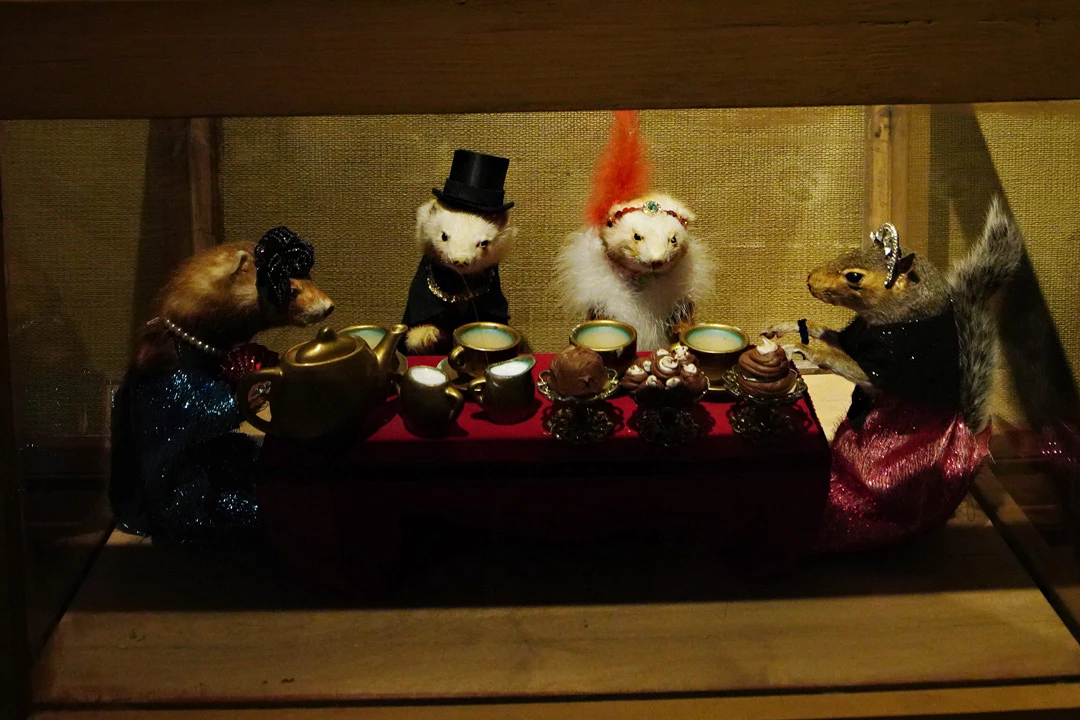 Widow Shocked To Discover Late Husband’s Secret Taxidermy Collection
