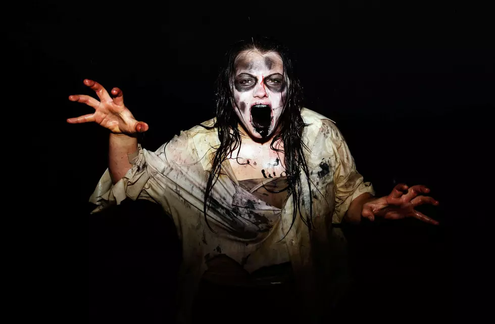 Did You Know The Military Has a Zombie Apocalypse Plan?